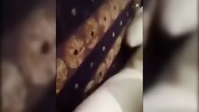 جنس حقيقي مع بنت تركية في بيوغلو