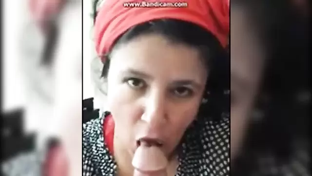 ست تركية تمص شاب صغير